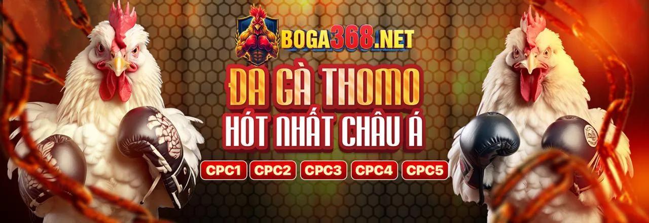 Thông báo cập nhật nền tảng sổ đỏ 66